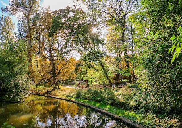 Que faire à Bruxelles en octobre : La magie de l’automne