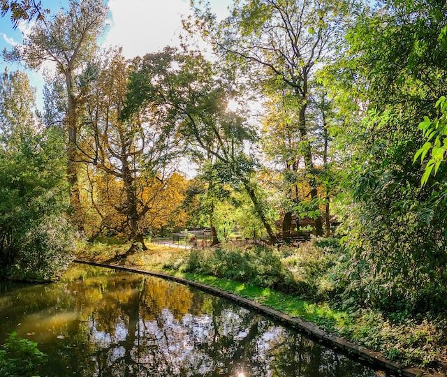 Que faire à Bruxelles en octobre : La magie de l’automne