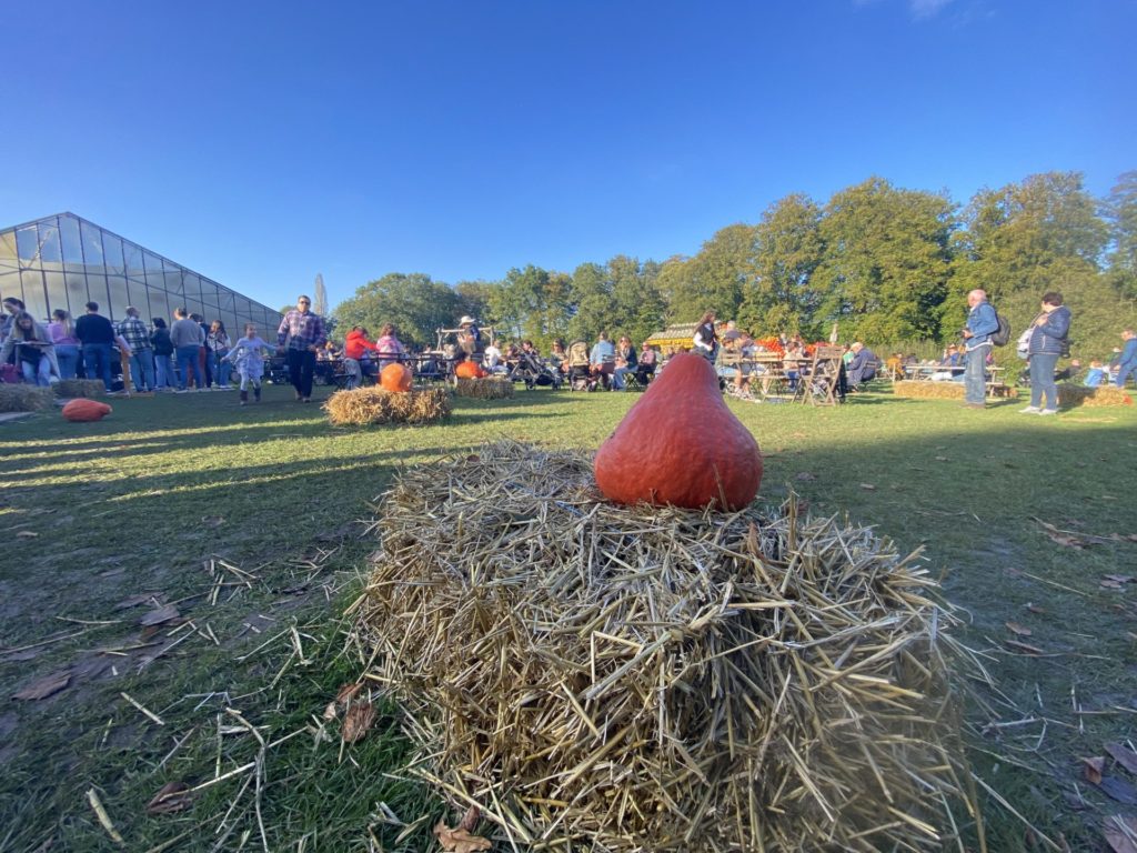 Pumkimania, le restaurant dans la prairire (c) Pierre Halleux